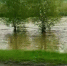 Из-за ливней поднялся уровень воды в реках - Междуреченский городской округ