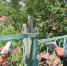 Профилактика пожарной безопасности продолжается - Междуреченский городской округ