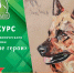 Конкурс эколого-патриотического рисунка «Животные герои» - Кузнецкий Алатау