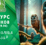 Творческий конкурс рисунков «Пернатая радуга» - Кузнецкий Алатау
