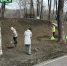 Сегодня междуреченцы вновь вышли на субботник. - Междуреченский городской округ
