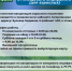 Как защитить себя от укуса клеща? - Междуреченский городской округ