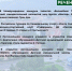 Наши достижения! - Междуреченский городской округ